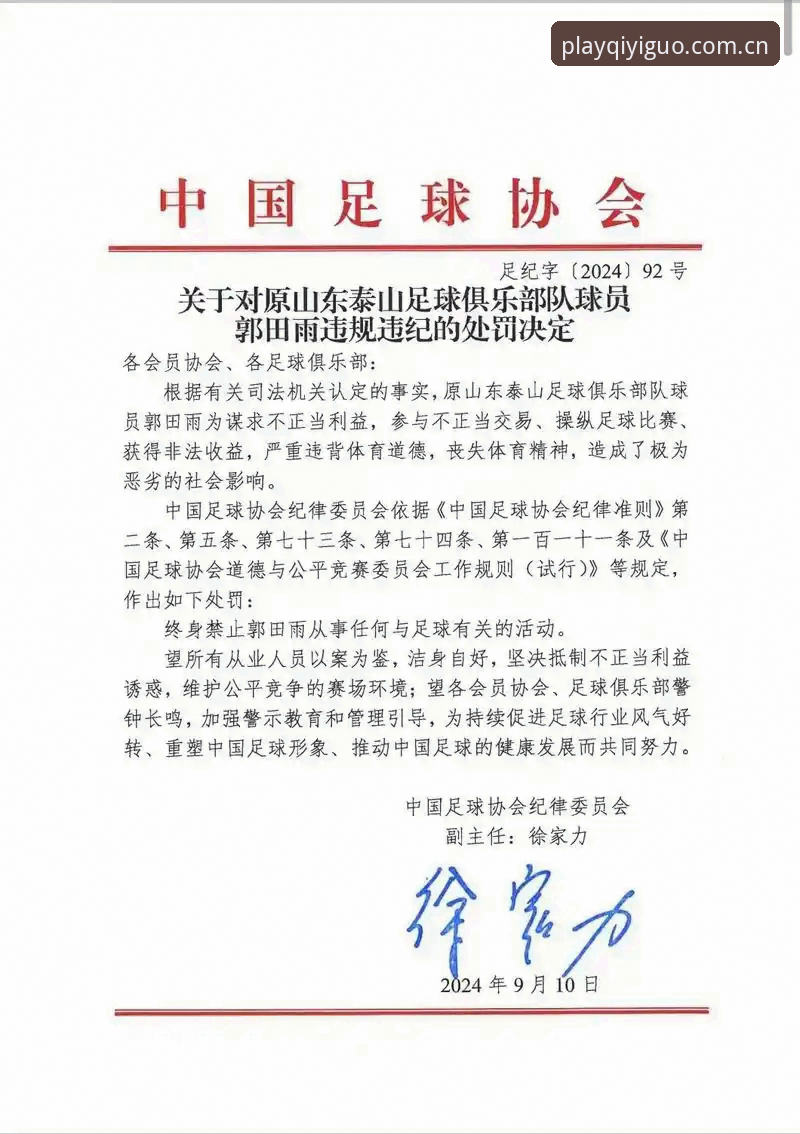 3大警示！中国足协第三批禁足名单出炉，17人终身禁赛背后的足球乱象