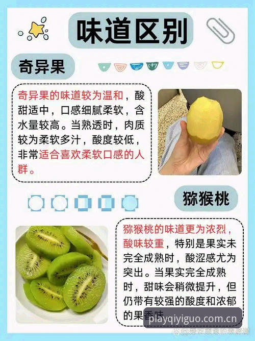 奇异果娱乐畅玩2026最新版本 奇异果娱乐城畅玩2026最新版本完整指南——老用户分享升级体验与实用技巧